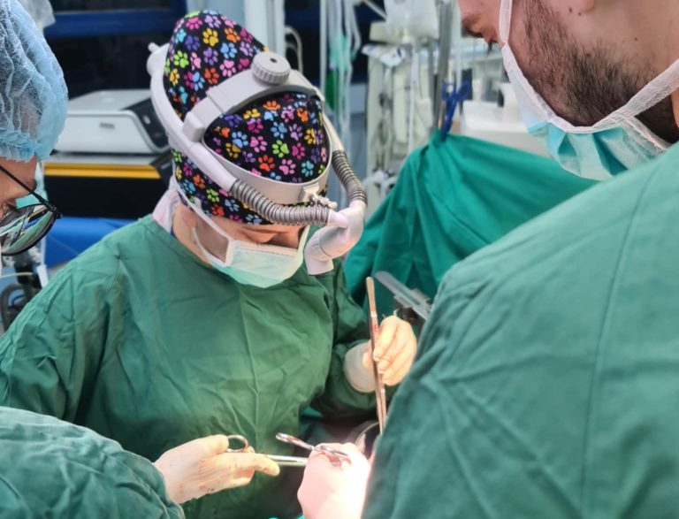 Η πρώτη μεταμόσχευση ήπατος από γυναίκα χειρουργό στην Ελλάδα (photo)