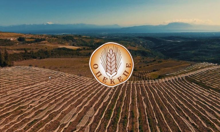 Χρυσοχοΐδης για ΟΠΕΚΕΠΕ: Ο εισαγγελέας θα δεσμεύσει λογαριασμούς και περιουσίες