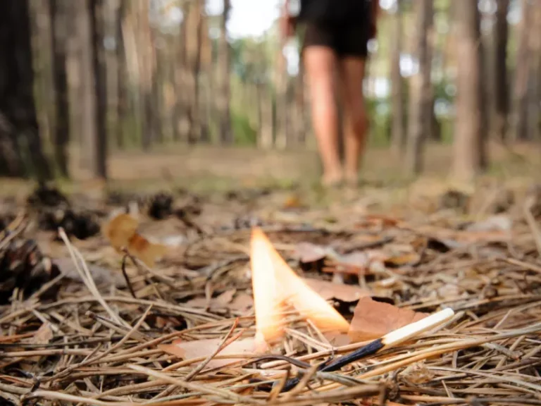 Άνδρας ομολόγησε τέσσερις εμπρησμούς!