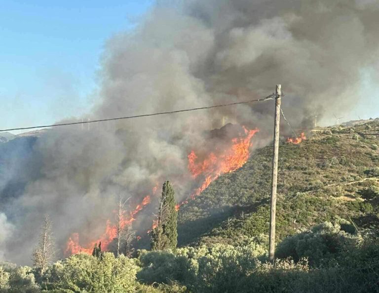 Κινητοποίηση για μεγάλη φωτιά στην Εύβοια (PHOTOS)