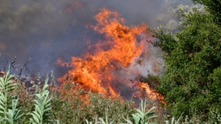 Ηλεκτροκόλληση και… μπάρμπεκιου στις 5 συλλήψεις ασυνείδητων σε ημέρα συναγερμού πυρκαγιών