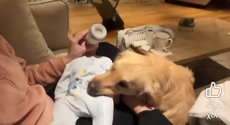 Σκυλάκι «υιοθετεί» μωρό σαν… παιδί του! (video)