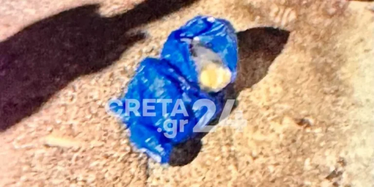 Προφυλακίστηκε η 33χρονη που πέταξε στα σκουπίδια το βρέφος της στο Ηράκλειο