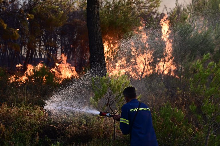 Πυρκαγιά στην Καρδίτσα κοντά στη Λίμνη Πλαστήρα