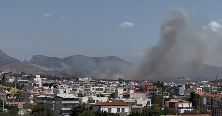 Σύλληψη για την φωτιά στα Μέγαρα! Έκαιγε κλαδιά με 9 μποφόρ!
