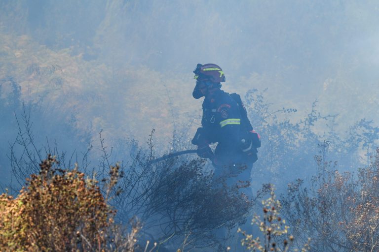 Πυρκαγιά στο Γαρδίκι Θεσπρωτίας – Επιχειρούν ισχυρές δυνάμεις