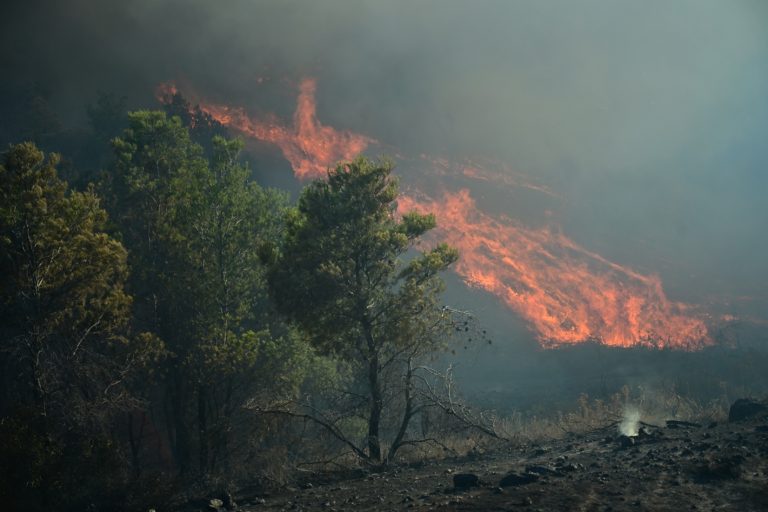 Τρεις συλλήψεις για πυρκαγιές από αμέλεια σε Πρέβεζα και Χαλκιδική