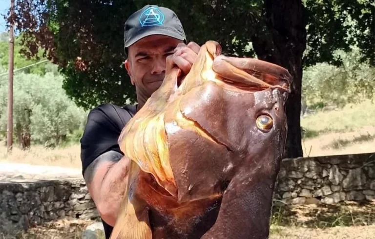 Απίστευτη ψαριά! Έπιασε ροφό 27 κιλών! (photo)