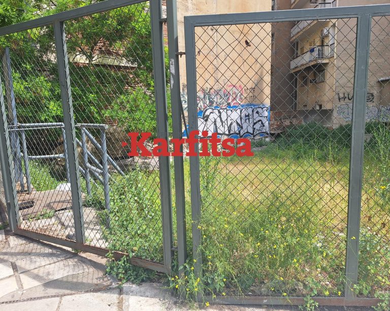 «Ζούγκλα» ο αρχαιολογικός χώρος του Ναού της Αφροδίτης στη Θεσσαλονίκη (VIDEO & PHOTOS)