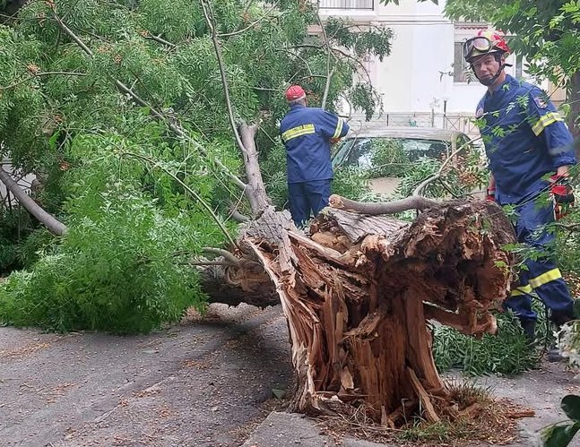 «Τσάκισαν» τα δέντρα οι άνεμοι σε Χανιά και Ρέθυμνο (VIDEO)