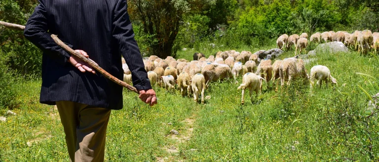 180 εκατ. ευρώ για τους κτηνοτρόφους: Νέα ενίσχυση, τέλος στα «μαγικά» βοσκοτόπια και κυνήγι στους ψεύτικους δικαιούχους