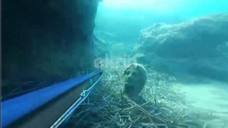 Ψαροντουφεκάς βρήκε άγαλμα στο βυθό της Χερσονήσου (Video)