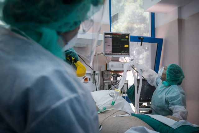 Γλυφάδα: 70χρονη κατέληξε μετά από επίθεση με πέτρα ενώ τάιζε γάτες