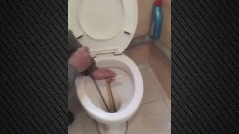 Μεγάλο φίδι ζούσε για δυο εβδομάδες σε λεκάνη τουαλέτας στην Καστοριά (Video)