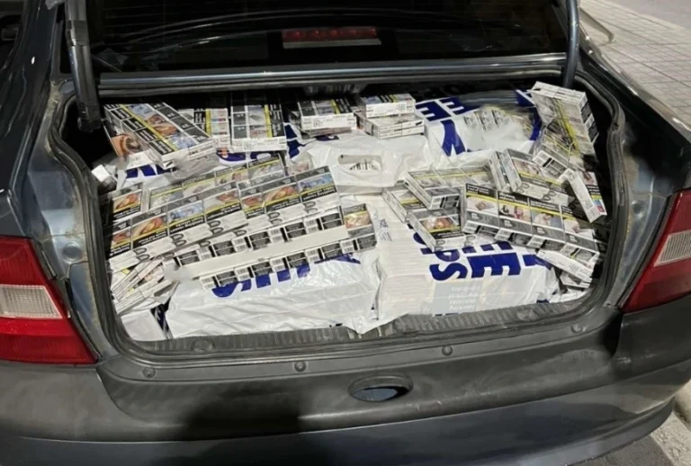 Σαρωτικοί έλεγχοι της ΑΑΔΕ με X-Ray και τον «Έλβις»: Ναρκωτικά, μετρητά και λαθραία τσιγάρα στις κατασχέσεις (photo)