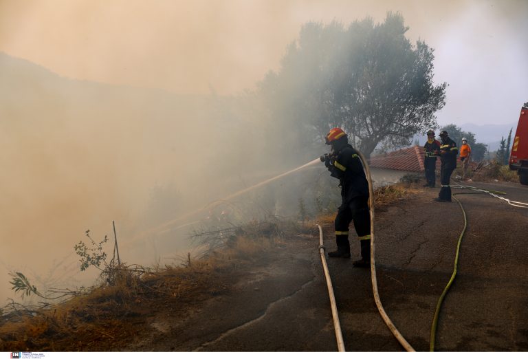 Μεγάλη φωτιά στο Λέπρεο Ηλείας – Επιχειρούν ισχυρές δυνάμεις της Πυροσβεστικής (φώτο)