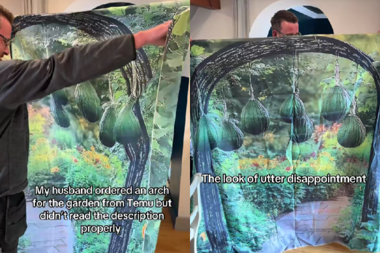Επικό fail από Temu: Αγόρασαν μεταλλική αψίδα κήπου, τους ήρθε… φωτογραφία της