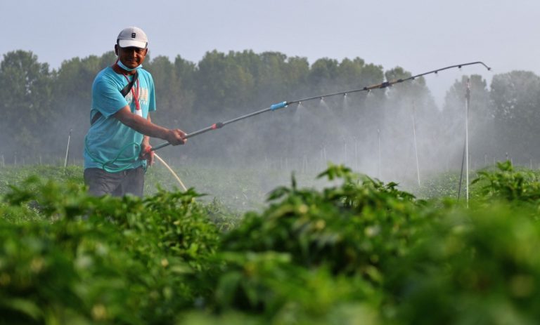 Ενίσχυση 15% στα λιπάσματα – Πότε ανοίγει η πλατφόρμα – Τι να προσέξουν οι αγρότες
