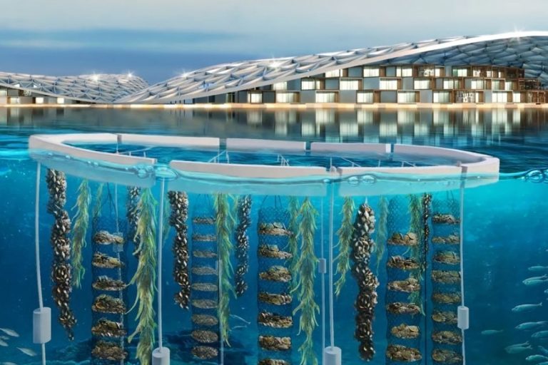 Ντουμπάι: Το γιγαντιαίο project με τους 200.000 τεχνητούς υφάλους