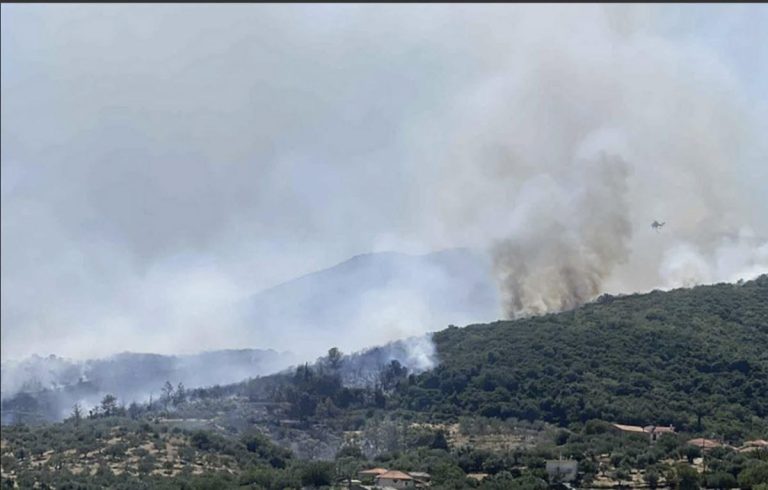 Φωτιά στη Λίμνη Βουλιαγμένης Λουτρακίου – Συνελήφθη 70χρονος Γάλλος (Video)