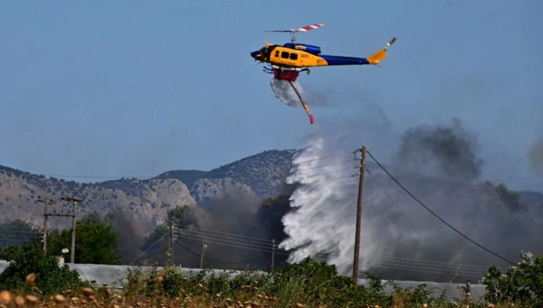 Φωτιά σε δασική έκταση στην Βοιωτία – Επιχειρούν 4 εναέρια μέσα, μήνυμα 112