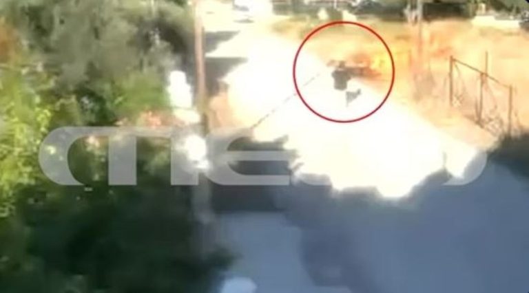 H στιγμή που πρώην υποψήφια βουλευτής βάζει φωτιά στα Ίσθμια! (VIDEO)