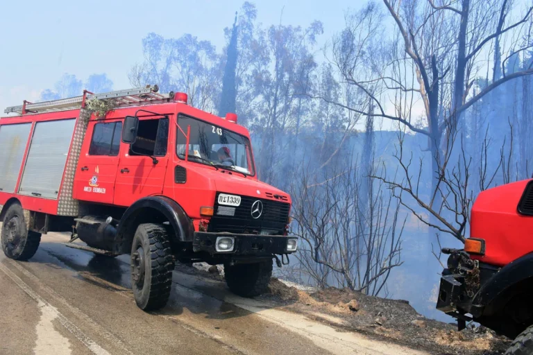 Βελτιωμένη η εικόνα της φωτιάς στον Ορχομενό: Δεν υπάρχει ενεργό μέτωπο
