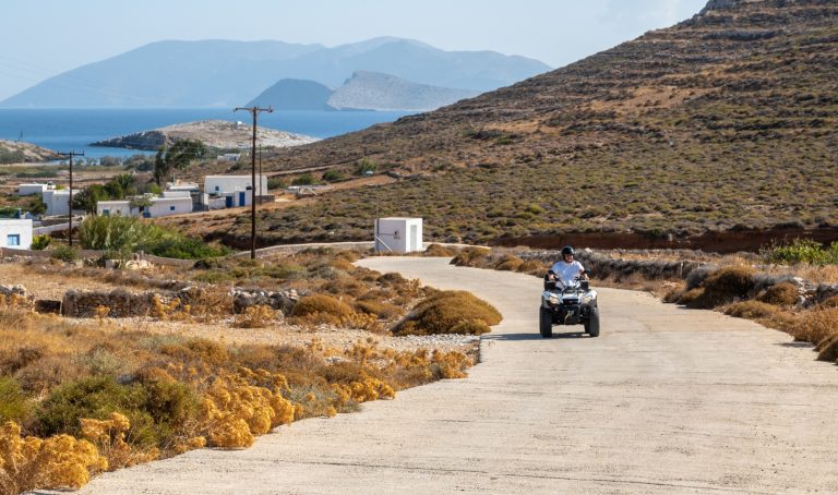 Γουρούνες στα νησιά: ο κίνδυνος που επαναλαμβάνεται κάθε καλοκαίρι