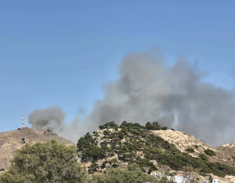 Μυτιλήνη: Φωτιά κοντά στη Σκάλα Ερεσού – Στη μάχη και εναέρια μέσα