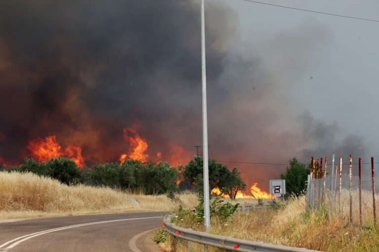 Φθιώτιδα: Καλύτερη η εικόνα της πυρκαγιάς – Αναφορές ότι κάηκαν σπίτια (video+photo)
