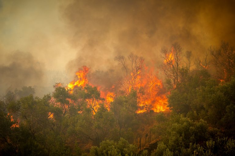 Μεγάλη φωτιά στη Λέσβο – Μήνυμα του 112 για εκκένωση του Πλωμαρίου (photo+video)