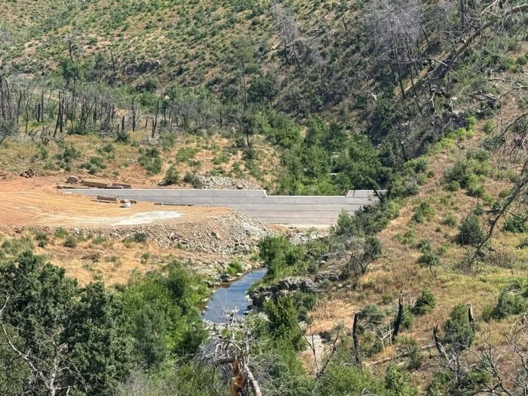 Έβρος: Έργα 86 εκατ. ευρώ για την αναγέννηση των δασών μετά τη μεγάλη φωτιά του 2023 (photo)