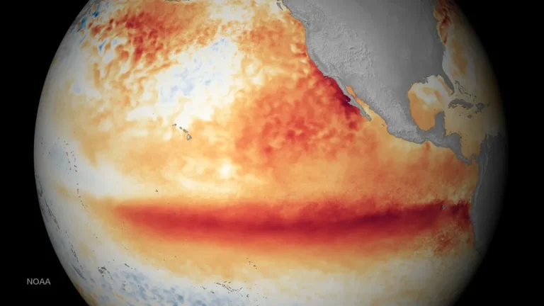 ΟΗΕ: Το El Niño ενισχύεται ταχύτατα – Ακραία καιρικά φαινόμενα έως το Σεπτέμβριο