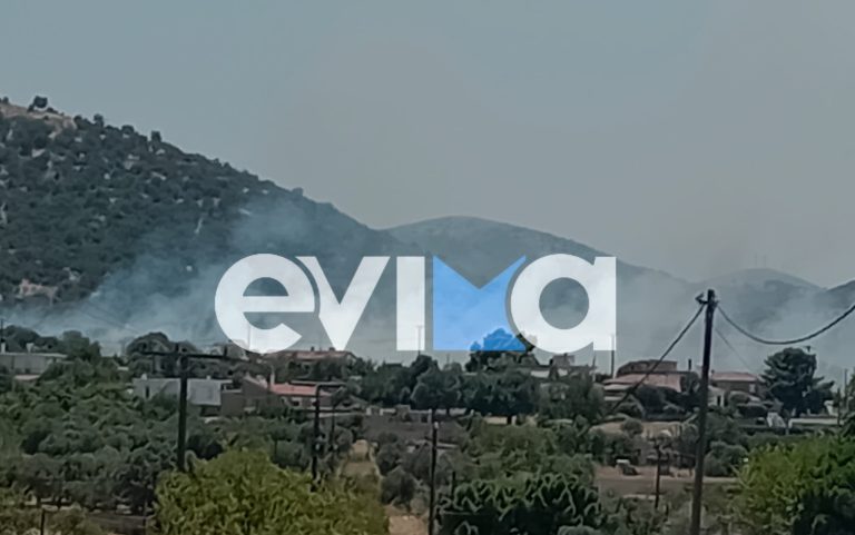 Εύβοια: Πυρκαγιά κοντά σε σπίτια και εργοστάσιο στο Αλιβέρι (PHOTOS)