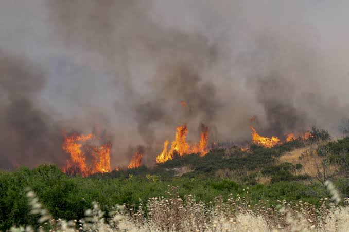 Φωτιά στο Πλωμάρι Λέσβου – Επιχειρούν 50 πυροσβέστες και 6 εναέρια (VIDEO)