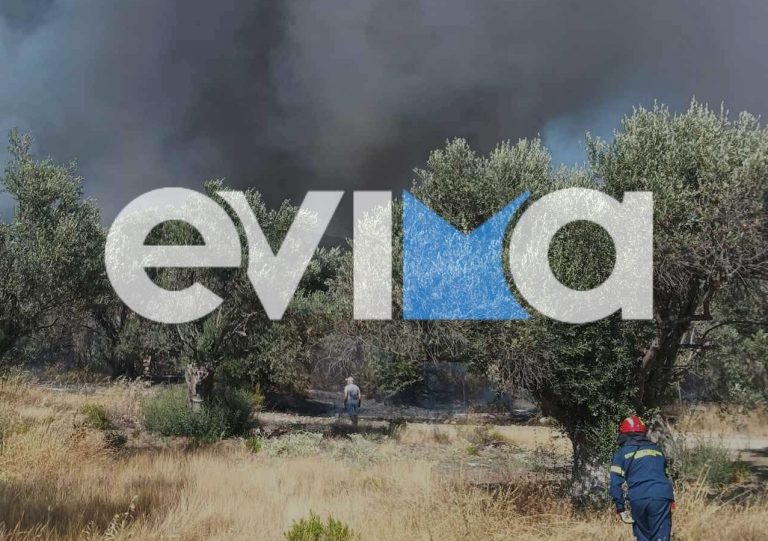 Χωρίς ενεργό μέτωπο η φωτιά στα Πολιτικά Ευβοίας – Ενδέχεται να ξεκίνησε από σπίτι (photo+video)