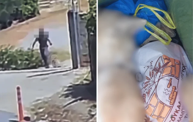 Σκληρό βίντεο: Σκύλος βρέθηκε νεκρός με σύρμα στον λαιμό σε κάδο απορριμμάτων