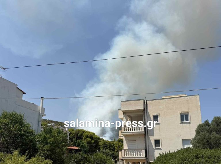 Σαλαμίνα: Κινητοποίηση για μεγάλη πυρκαγιά στα Σελήνια (PHOTOS)