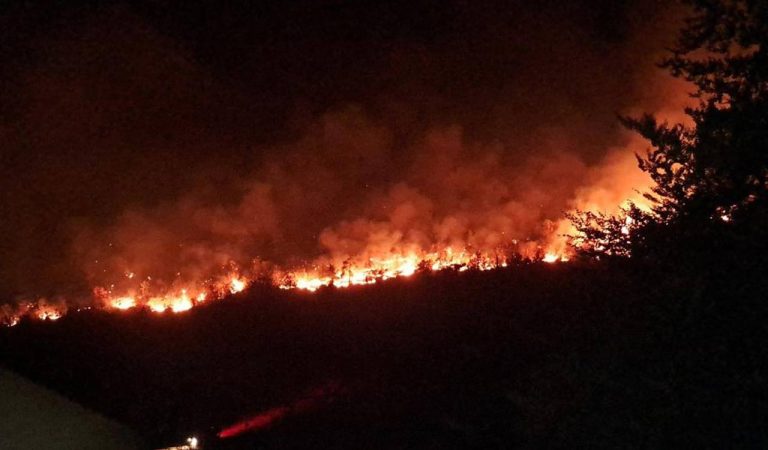 Βαλκάνια: Πυρκαγιές συνεχίζουν να κατακαίνε μεγάλες εκτάσεις σε Αλβανία – Σερβία (video)