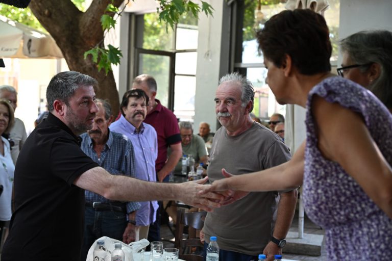Νίκος Ανδρουλάκης: Η κλιματική κρίση άλλοθι για τις αδυναμίες του κρατικού μηχανισμού