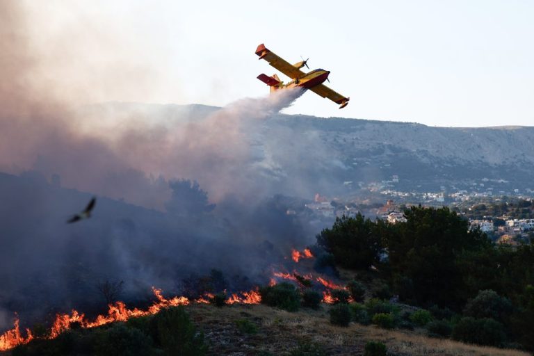 Φωτιά στη Θήβα: Στις φλόγες έκταση κοντά στο Μοσχοπόδι – Πυκνοί καπνοί έφτασαν στην πόλη