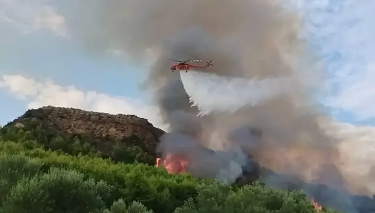 Μεγάλη φωτιά στην Ηλεία: 105 πυροσβέστες και 9 εναέρια μέσα στη μάχη με τις φλόγες (photo)