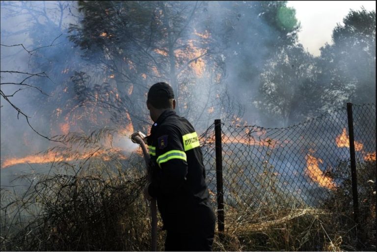 Φωτιά τώρα στη Λάρισα: Ήχησε το 112 για ετοιμότητα – Σηκώθηκαν 3 αεροσκάφη (Video)