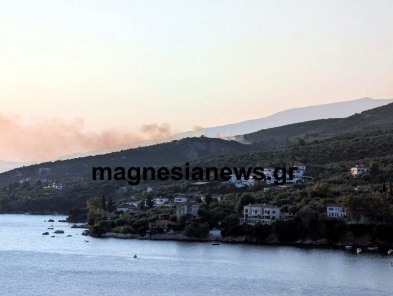 Υπό έλεγχο τέθηκε η φωτιά στο Νότιο Πήλιο