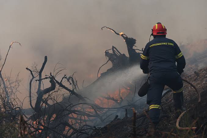 Μεσσηνία: Αφέθηκε ελεύθερος για δύο εμπρησμούς και συνελήφθη ξανά για νέες φωτιές