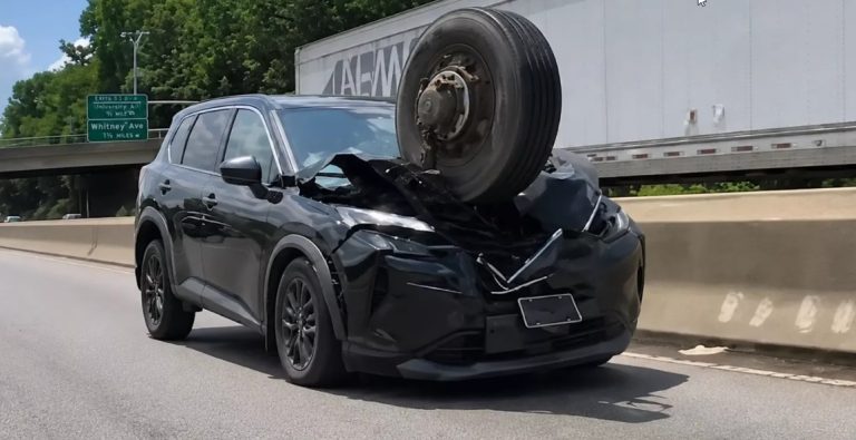 ΗΠΑ: Αδέσποτη ρόδα καρφώνεται στο καπό αυτοκινήτου στο αντίθετο ρεύμα (video)