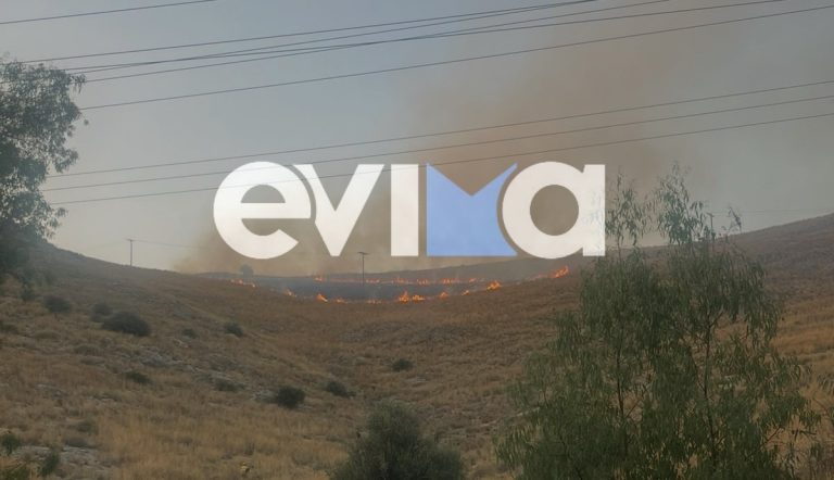 Βελτιωμένη η εικόνα του διπλού πύρινου μέτωπου στην Εύβοια (VIDEO)