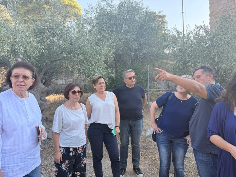Λίνα Μενδώνη: Αυτοψία στα μνημεία των Αιγοσθένων μετά την καταστροφική φωτιά στο Πόρτο Γερμενό (Photo)