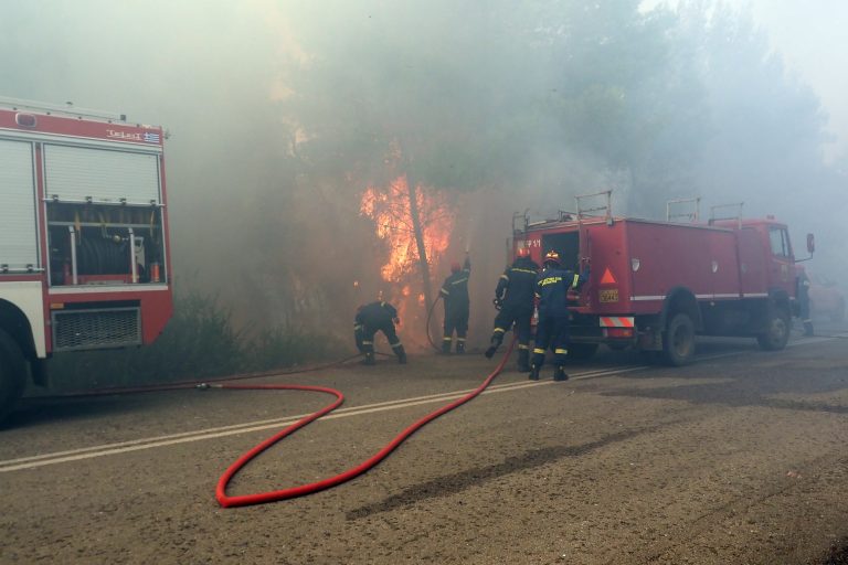 Βελτιωμένη η εικόνα της πυρκαγιάς στη Μακρυκάπα Εύβοιας