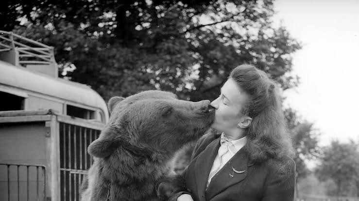 «Man or Bear?» Η ερώτηση του TikTok που έκανε τις γυναίκες να διαλέξουν την αρκούδα (VIDEO)